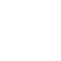 x-icon